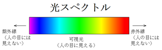 光スペクトル 光スペクトル